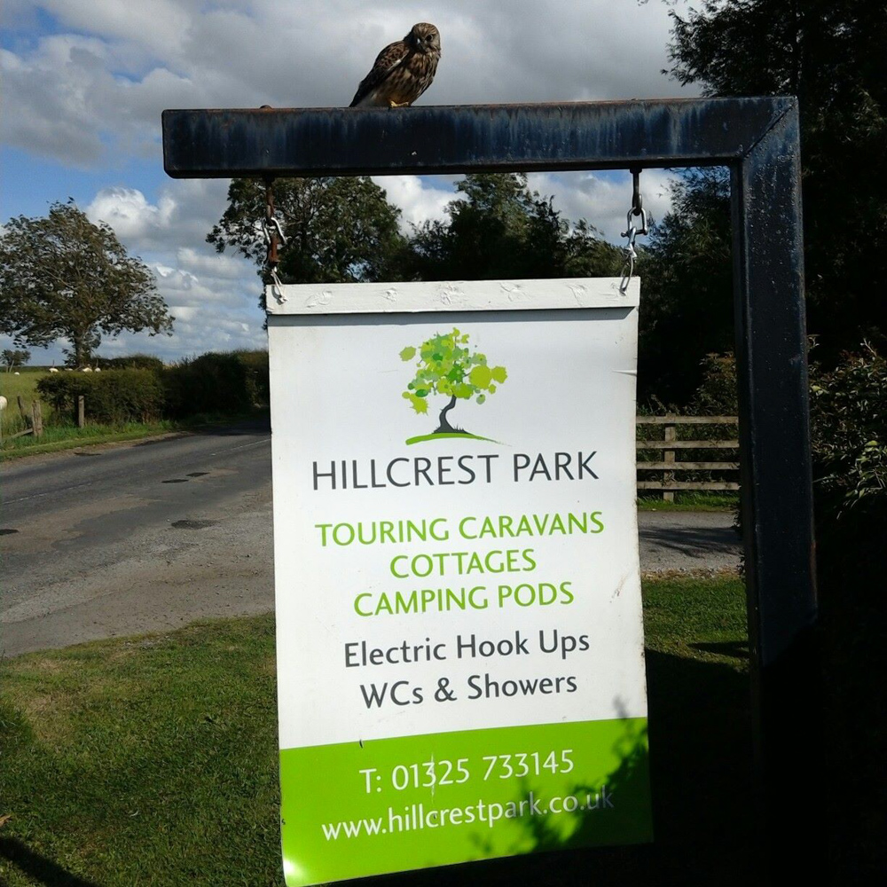 Hillcrest Park